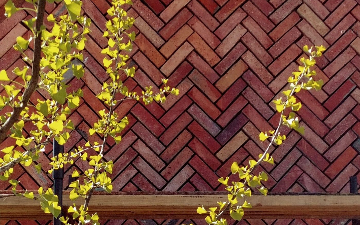 Brick Award 2023 Wyróżnienie Building Outside the Box Mikrodom, SENSE GROUP