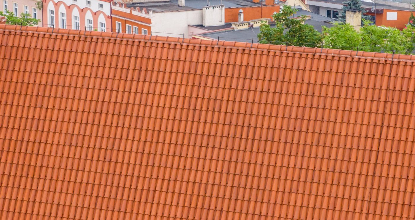 Zamek biskupów wrocławskich w Otmuchowie z dachówką mnich mniszka