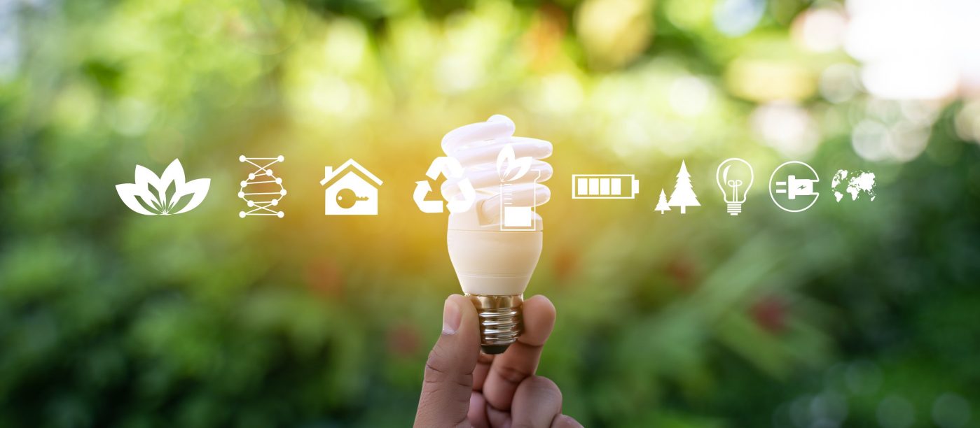 Sustainable Ecology Elements