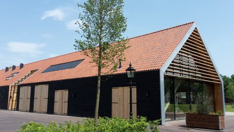 Esówka Sinus, wiktoriańska czerwień