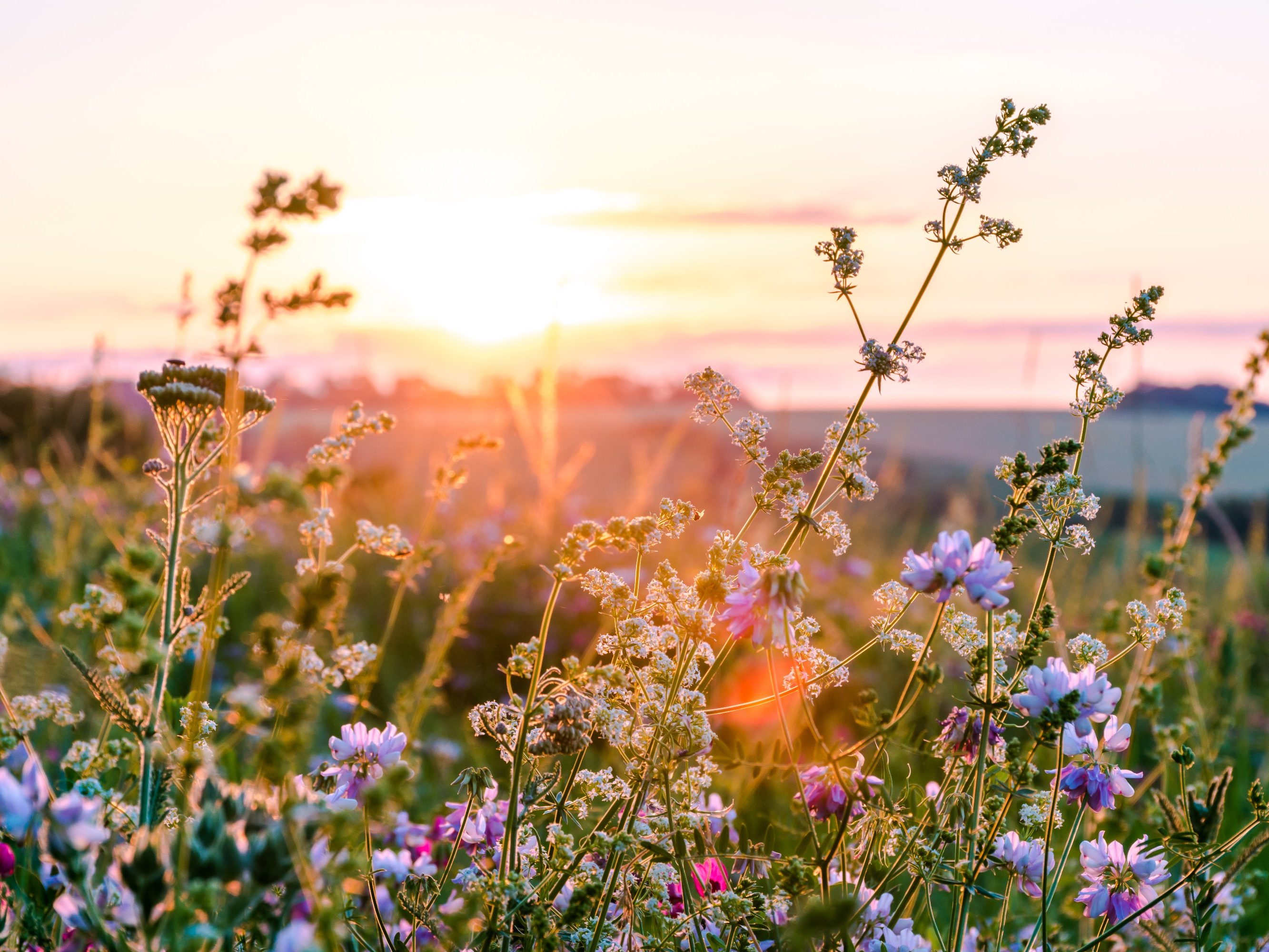 Zrównoważony rozwój