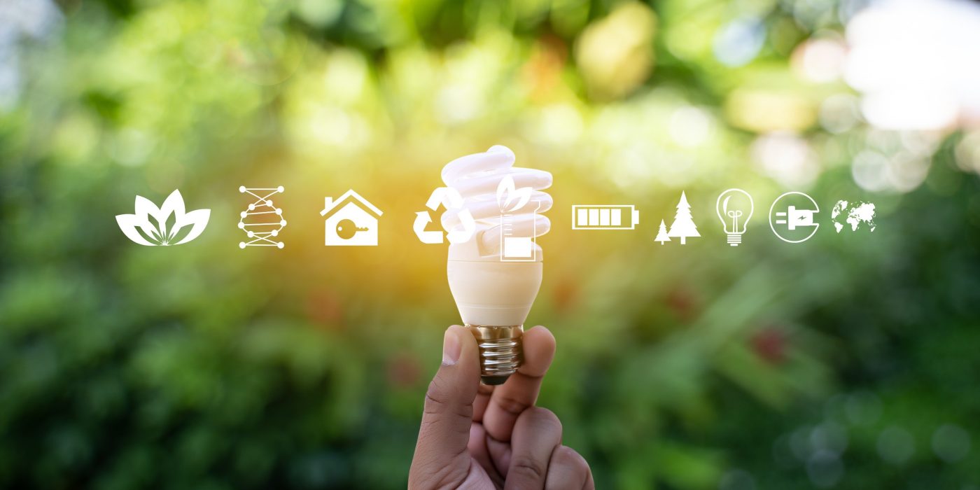 Sustainable Ecology Elements