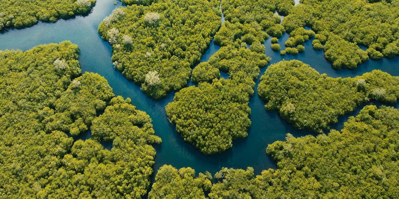 ESG obieg zamknięty rozlewiska rzeki i las