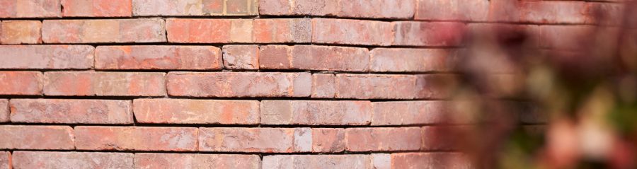 Extension single family in Dudzele