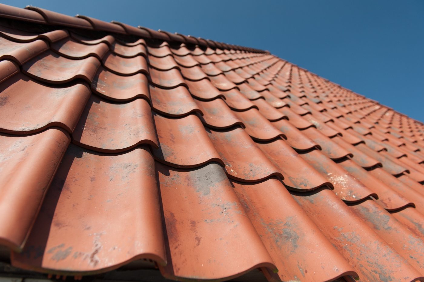 Oude Holle Sinus Vieilli Rood 878 | New Construction Open - Detached House | Breezand