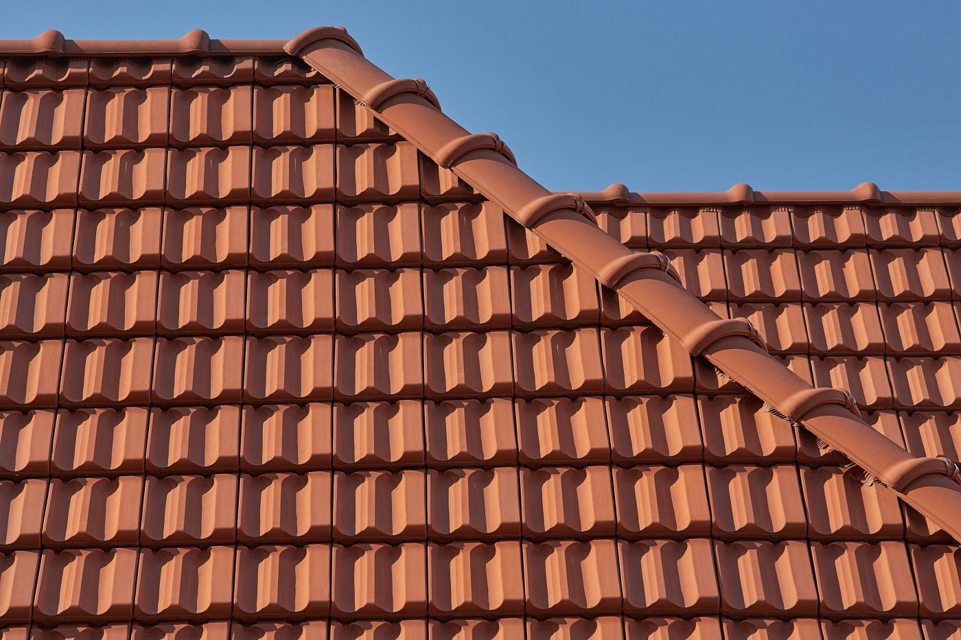 Babinski Hospital in Cracow Poland with Marsylka natural red roof tile