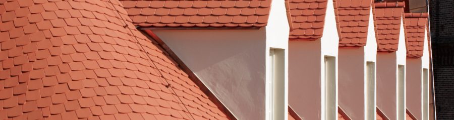 close up Bunzlauer Biber nature red