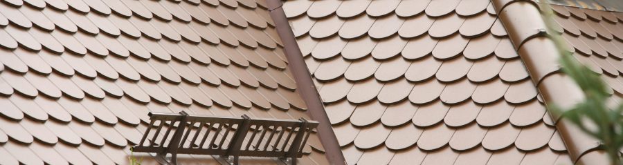 Ochrona przeciwśniegowa 