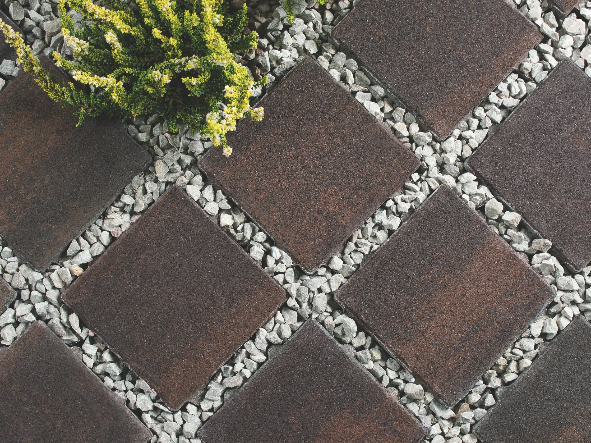 Grupa produktów, nazwa, kolor