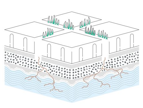 Powierzchnia biologicznie czynna