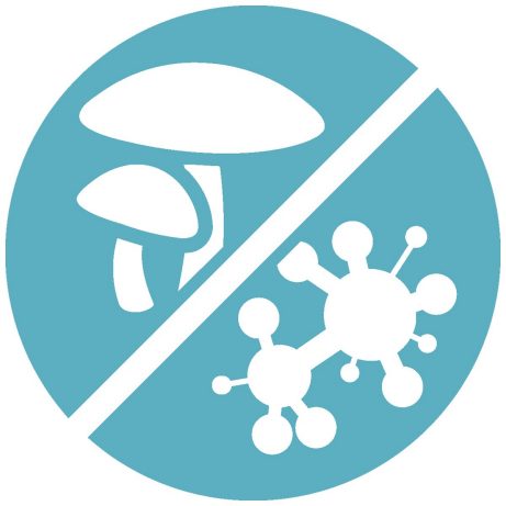 Brak grzybów, pleśni bez chorób dróg oddechowych