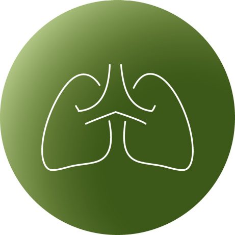 Porotherm Klima+ icon