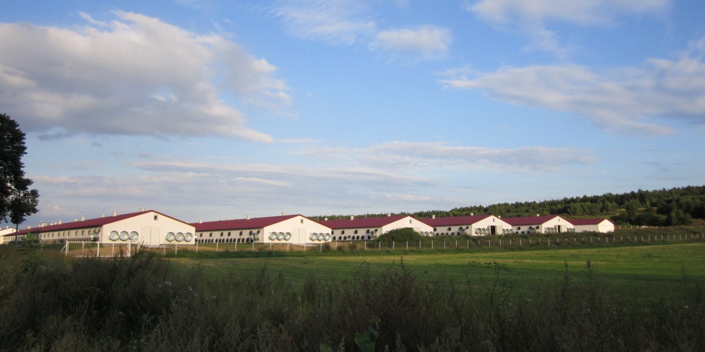 Porotherm w budownictwie rolnym