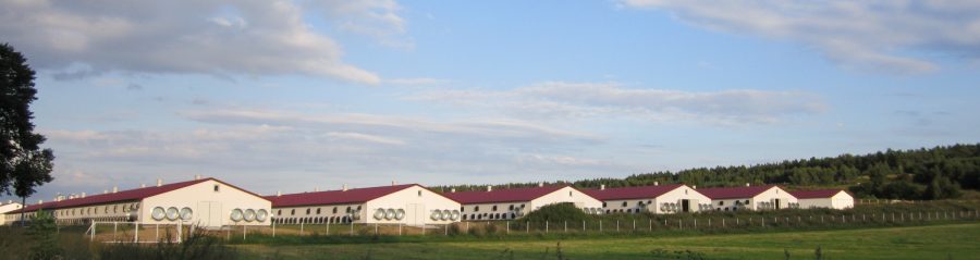 Porotherm w budownictwie rolnym