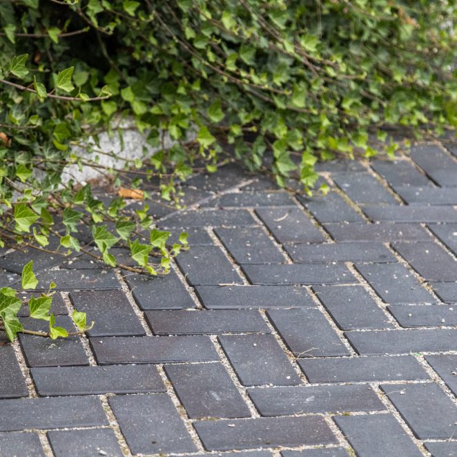 Rynek Resko - Penter Dresden