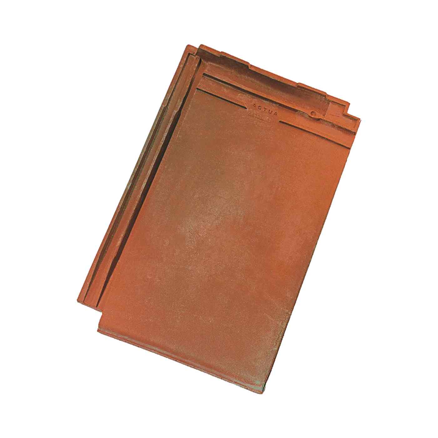 Actua 10 LT rustykalna angoba