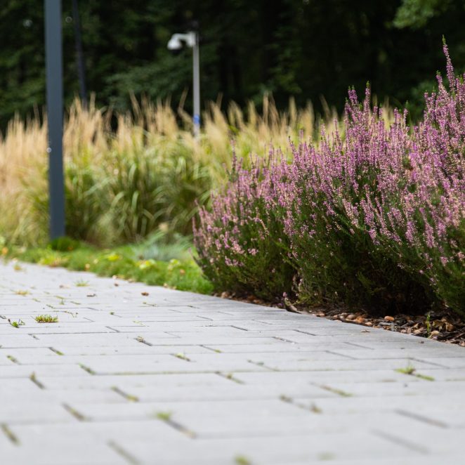 Tężnia Gliwice , Semmelrock Senso