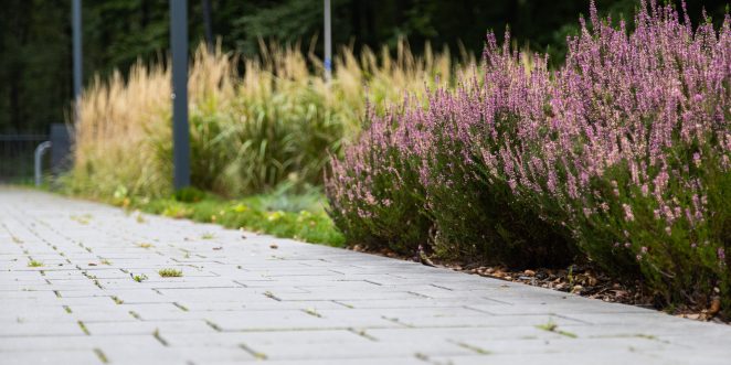 Tężnia Gliwice , Semmelrock Senso