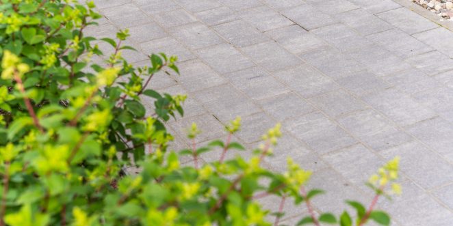 Nawierzchnia kostka brukowa Semmelrock na osiedlu Polanki w Gdyni - senso margo